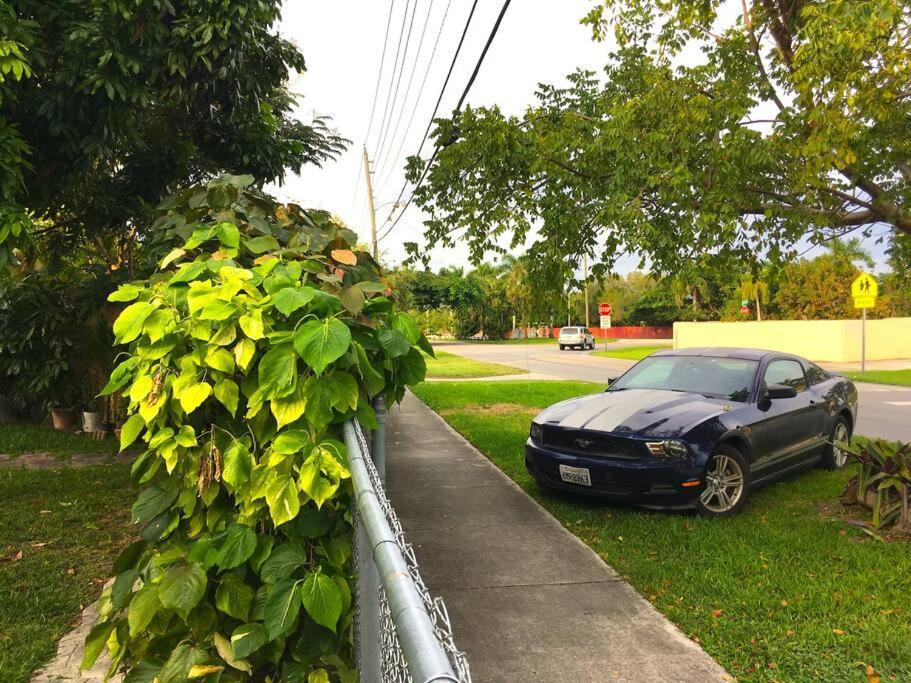 Miami Bungalow Oasis Near Everglades & The Keys Cutler Bay Ngoại thất bức ảnh