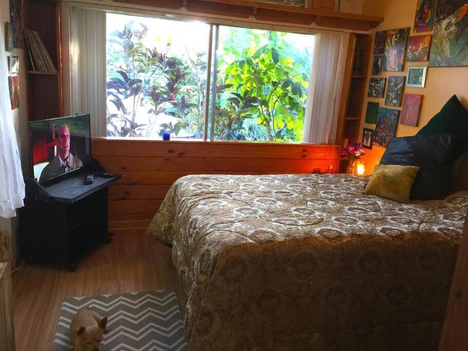 Miami Bungalow Oasis Near Everglades & The Keys Cutler Bay Ngoại thất bức ảnh