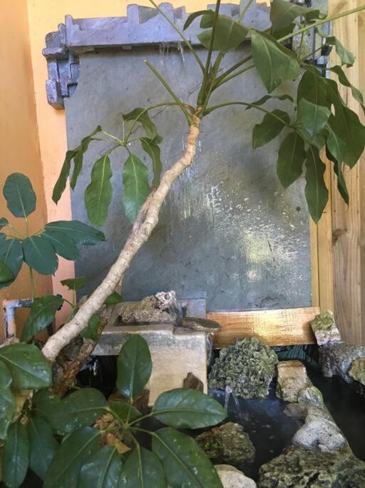 Miami Bungalow Oasis Near Everglades & The Keys Cutler Bay Ngoại thất bức ảnh