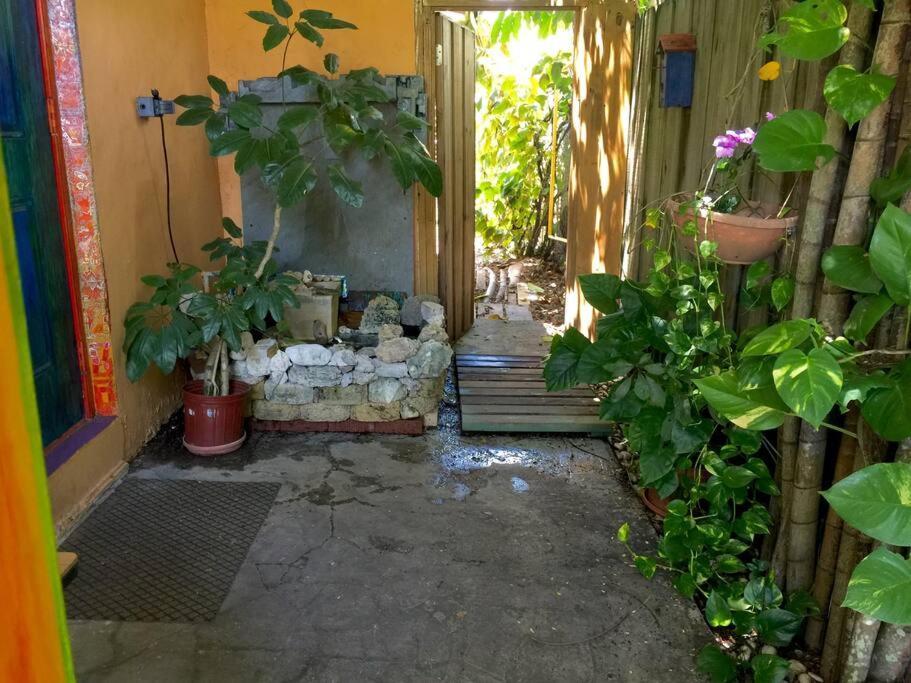 Miami Bungalow Oasis Near Everglades & The Keys Cutler Bay Ngoại thất bức ảnh